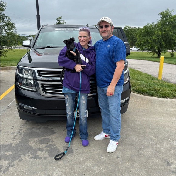 Phoenix!! - Picture 2 of 4